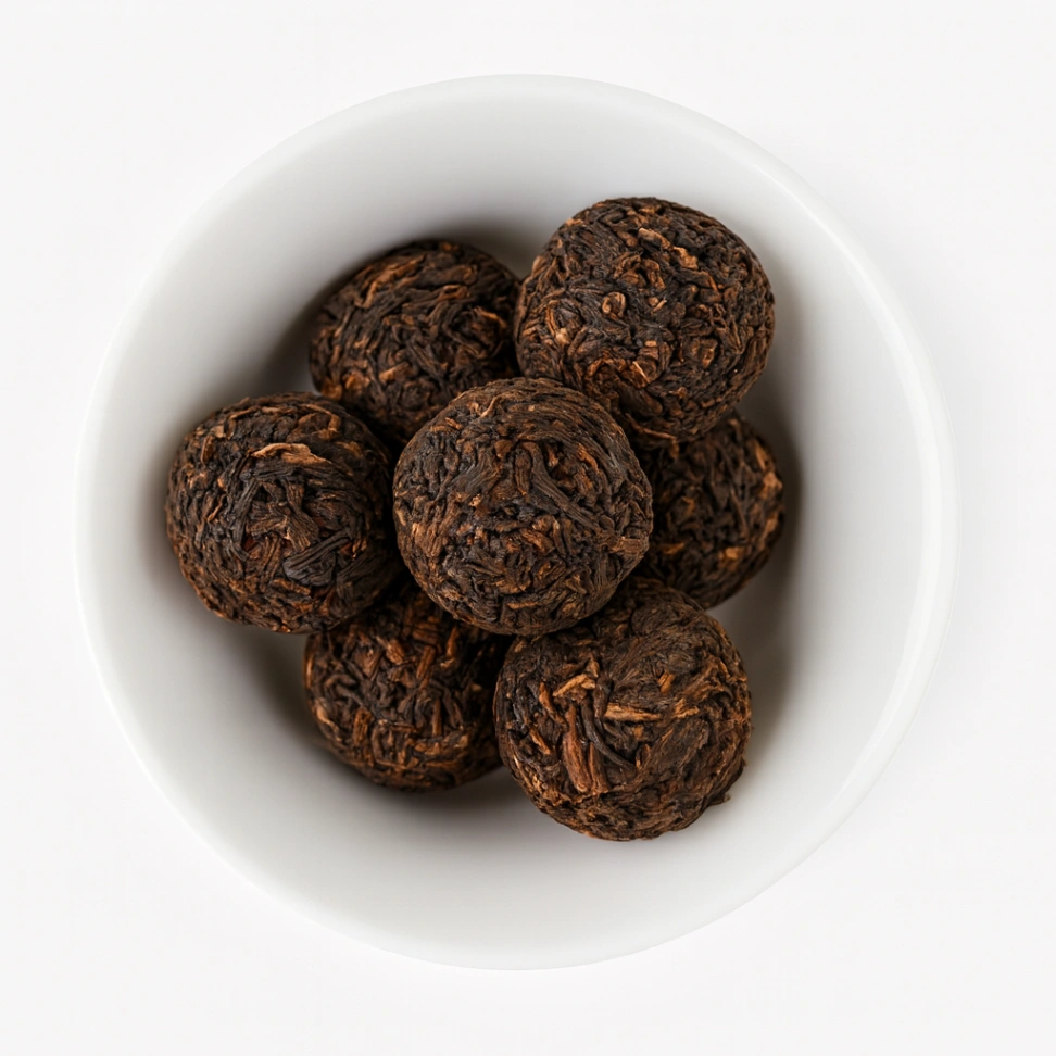 Gental Warm Spring 2022