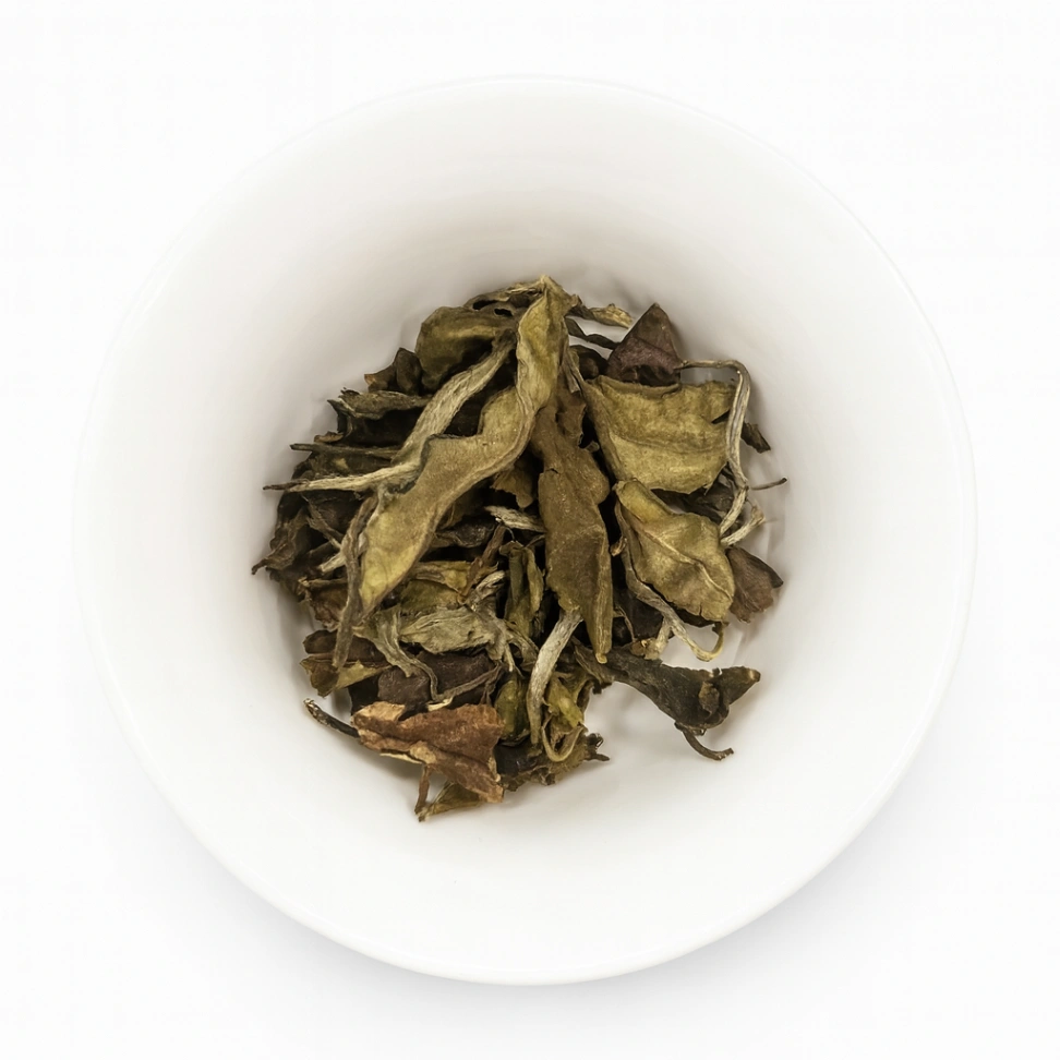 Golden Dragon Spring 2025