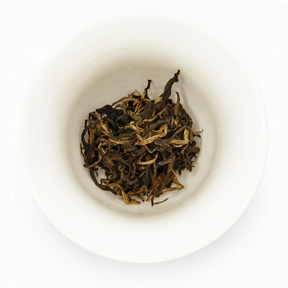 Blue Dragon Spring 2025